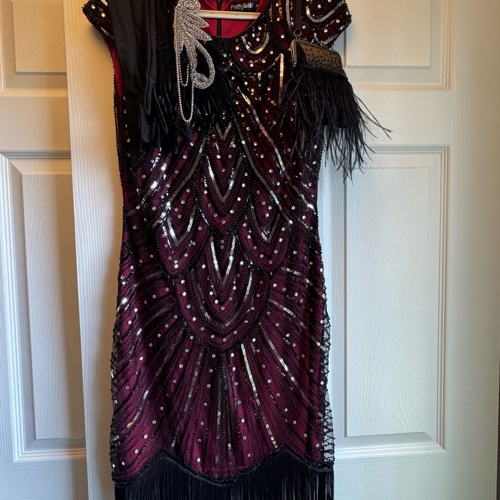 1920s Flapper Costume Set (Dress, Headband, Purse, & Gloves)